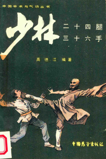 少林二十四腿三十六手_14187149