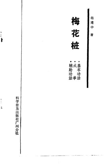 梅花桩基本功法，成拳，辅助功法_10818608