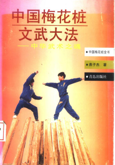 中国梅花桩文武大法：中华武术之魂_11362840