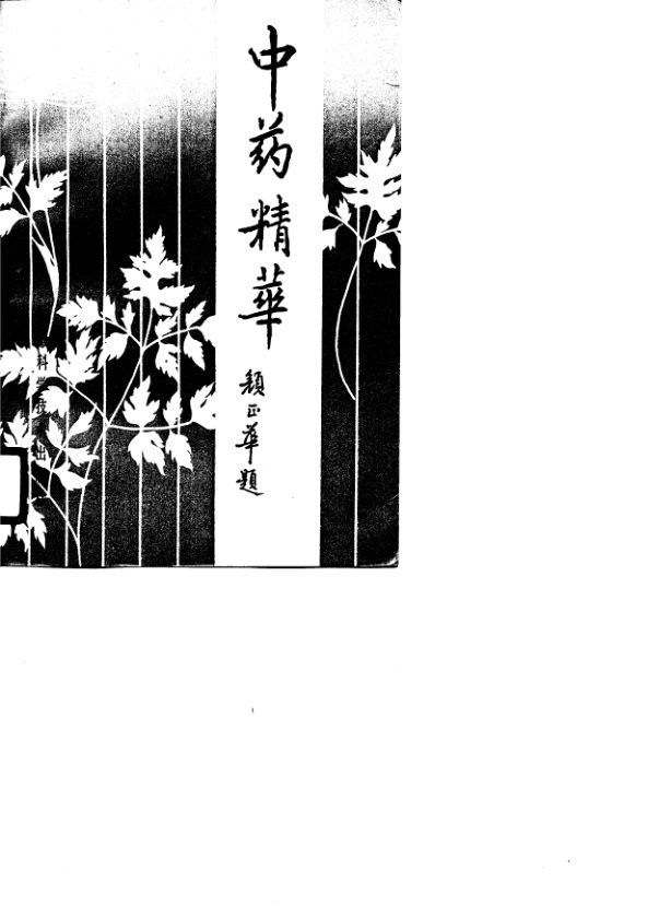 中药精华_10681560