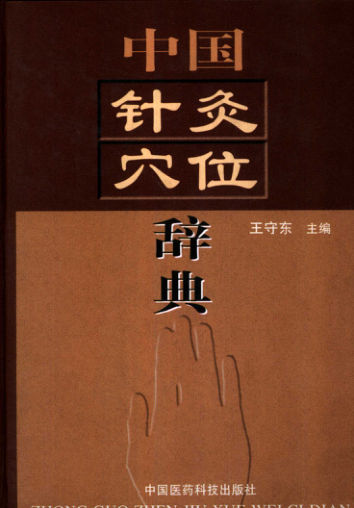 gz中国针灸穴位辞典_10386892