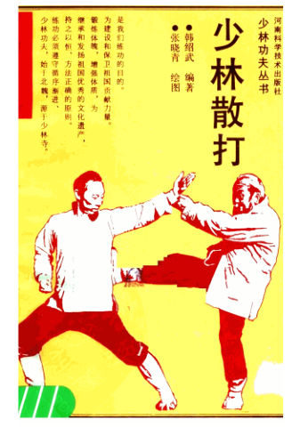 少林散打_11597122