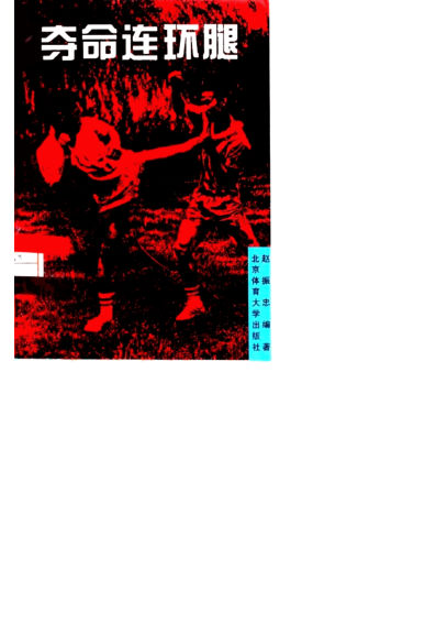 夺命连环腿10063461