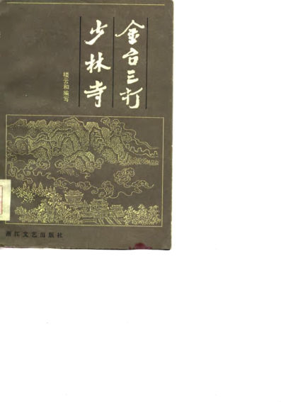 《金台三打少林寺》_10778998