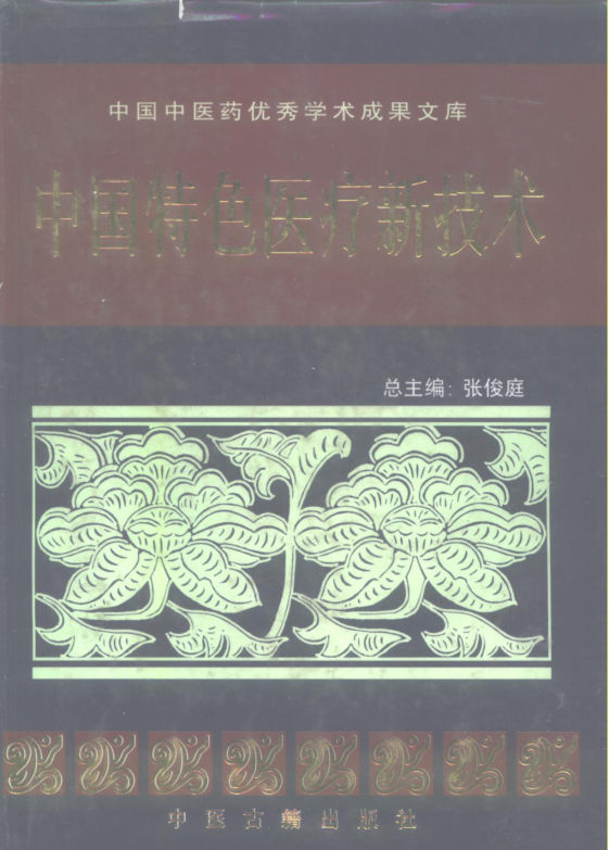 中国特色医疗新技术_10225804