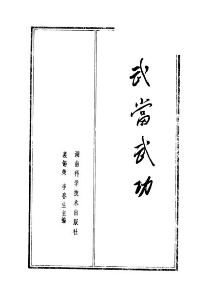 武当武功_11510808