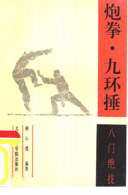 炮拳·九环捶入门绝技_10823793