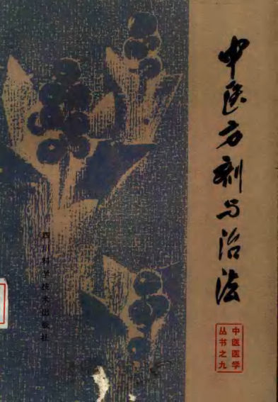 中医方剂与治法_10387175