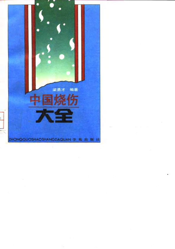 中国烧伤大全_10031547