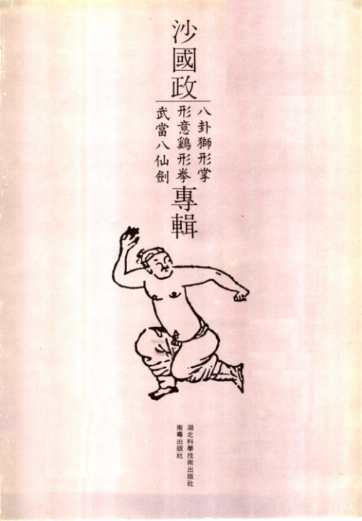 中华武术大观1沙国政专辑八卦狮形掌、形意鸡形拳、武当八仙剑_11515364