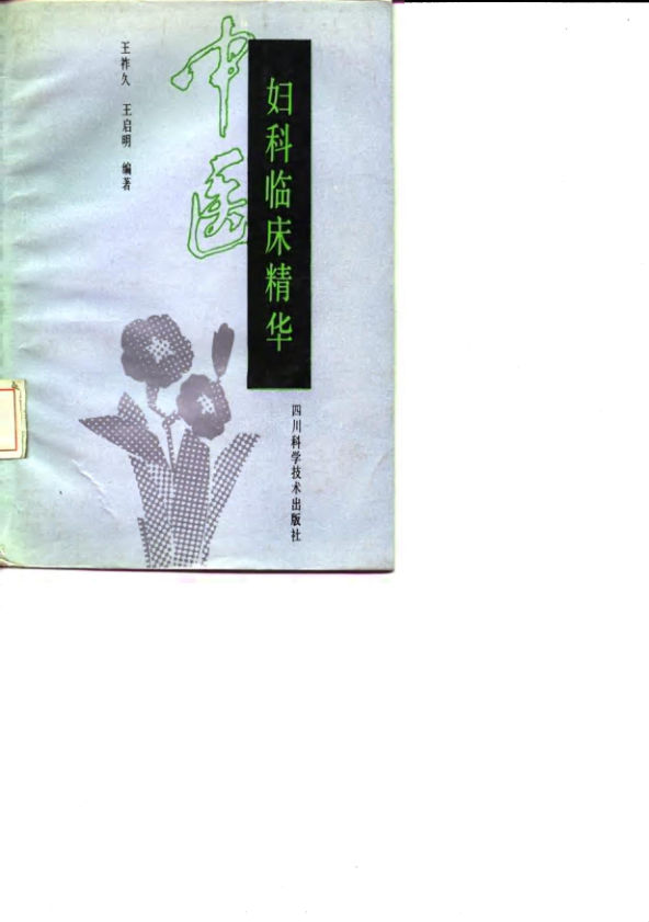 中医妇科临床精华10059804