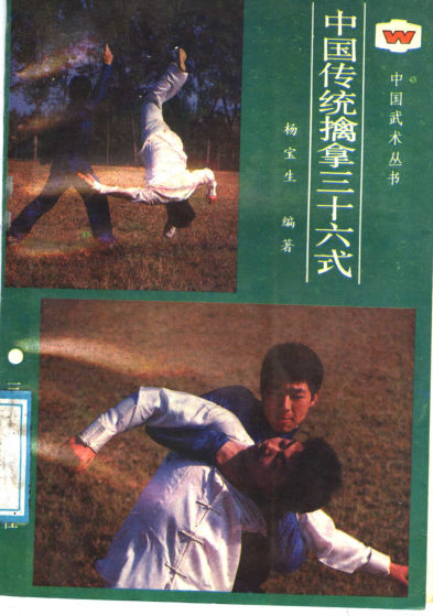 中国传统擒拿三十六式_11514281