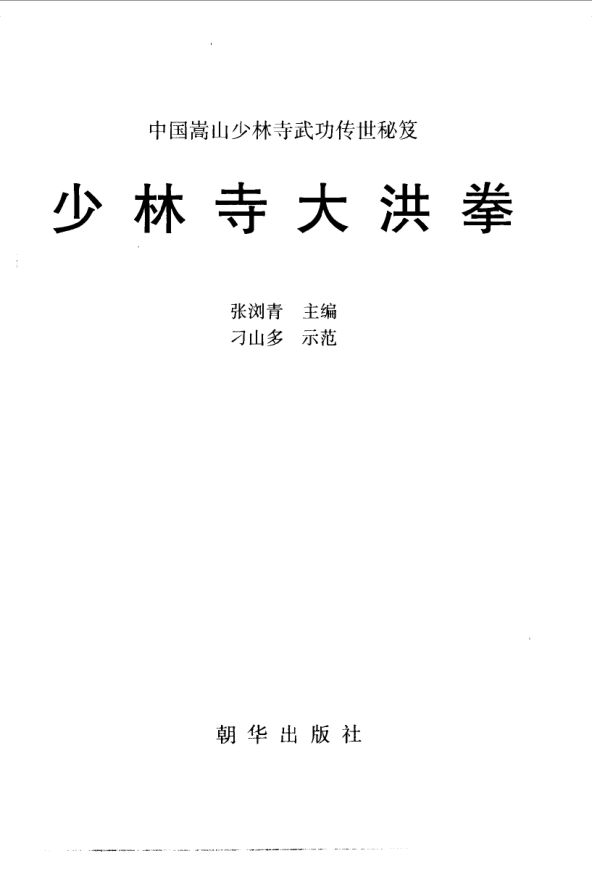 少林寺大洪拳_10063362