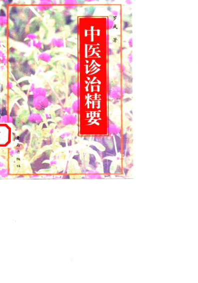 中医诊治精要10059595
