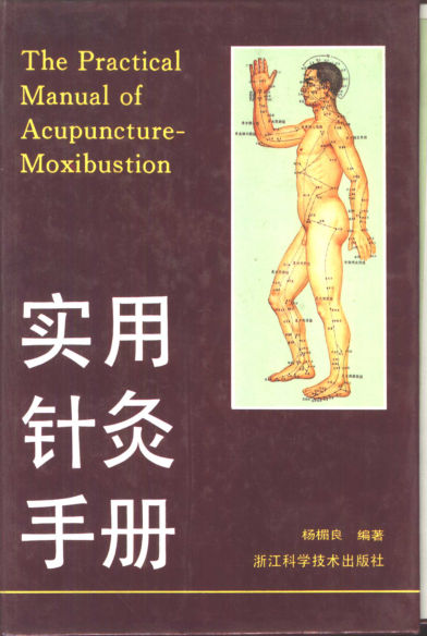实用针灸手册_10387813