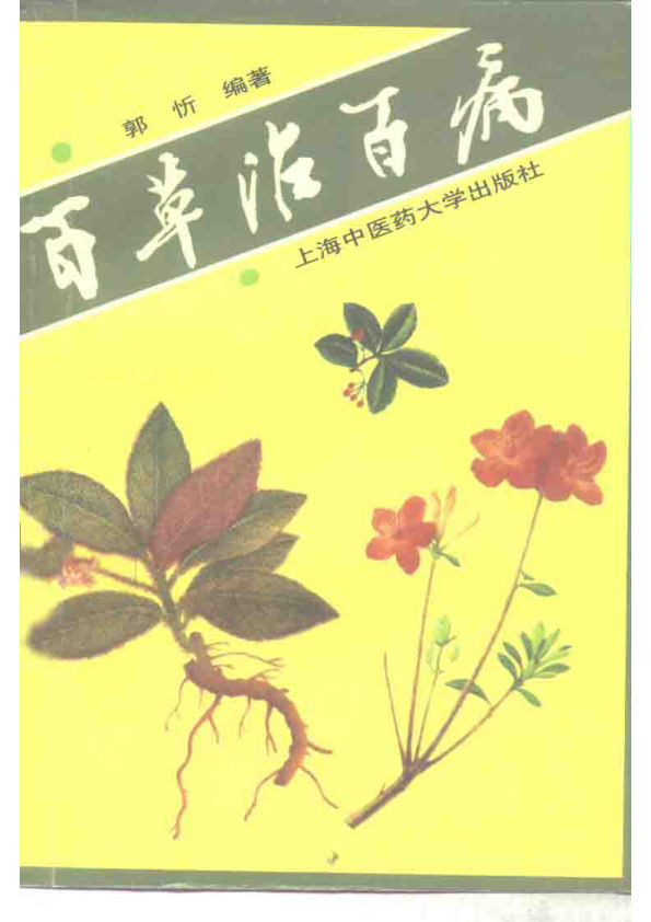 百草治百病10265107