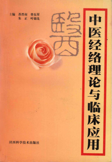 中医经络理论与临床应用_12059175