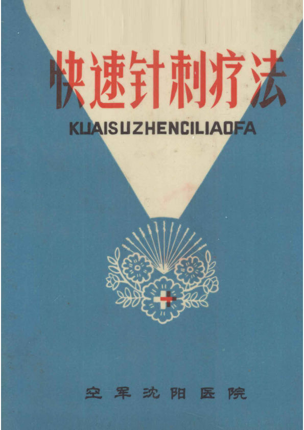 13056821快速针刺疗法