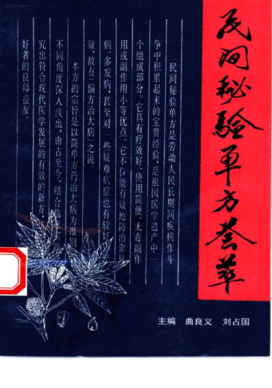 民间秘验单方荟萃_10461041
