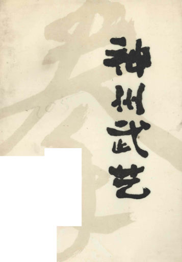 神州武艺12242182