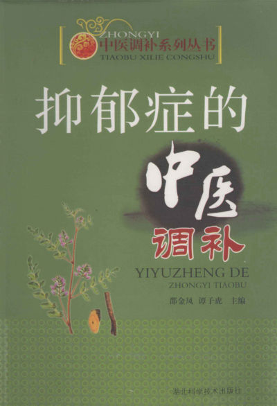 抑郁症的中医调补_12998661