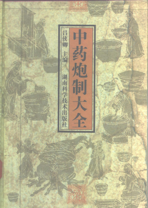 中药炮制大全_10297999
