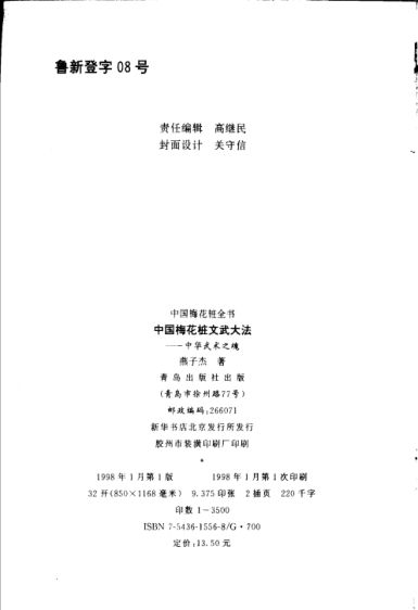 中国梅花桩文武大法中华武术之魂_11362840