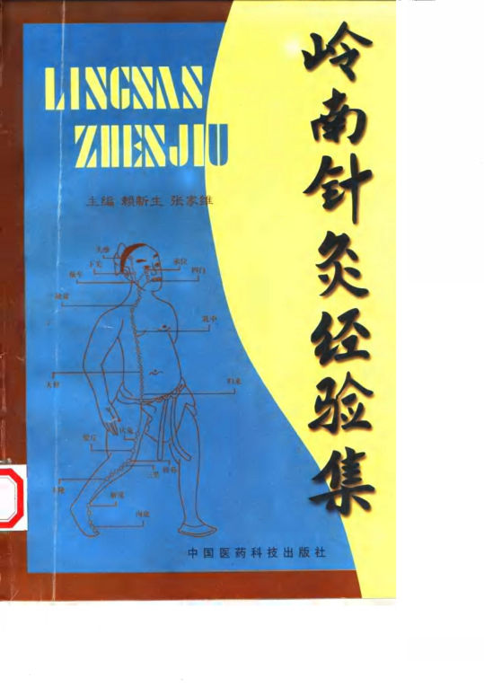 岭南针灸经验集_10058204