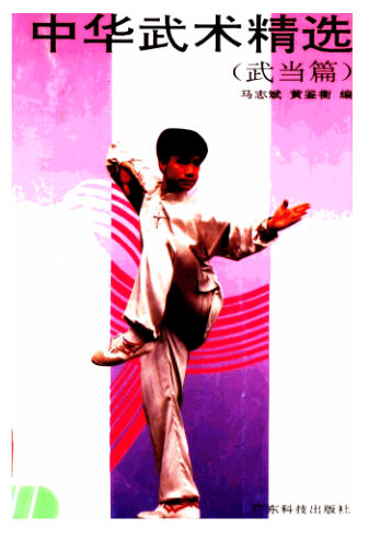 中华武术精选武当篇_11597131