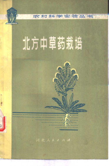 北方中草药栽培10880647