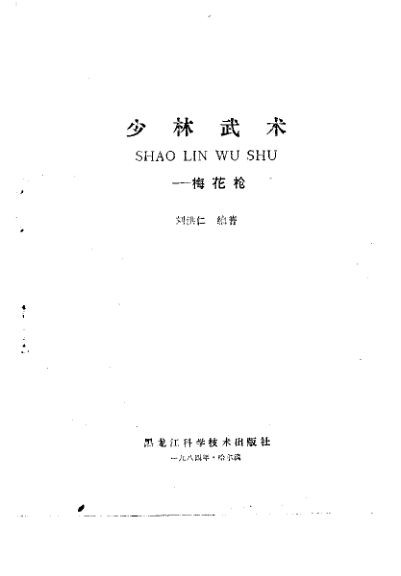 少林武术梅花枪_10259717