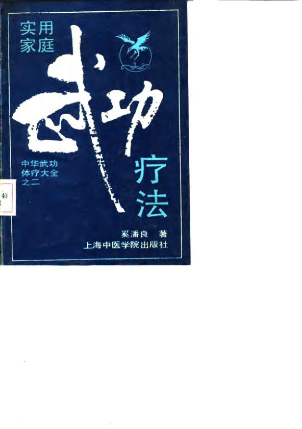 实用家庭武功疗法