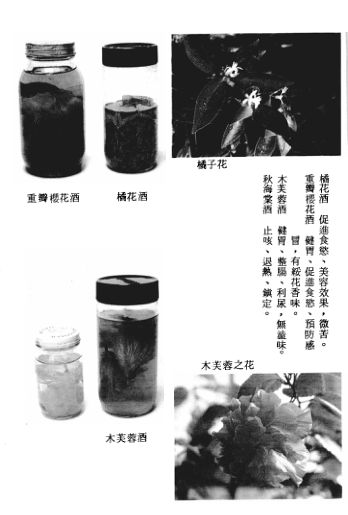 药酒制作法1986.0512550963