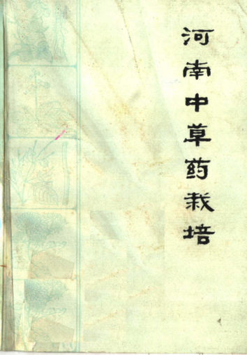 河南中草药栽培_11768975