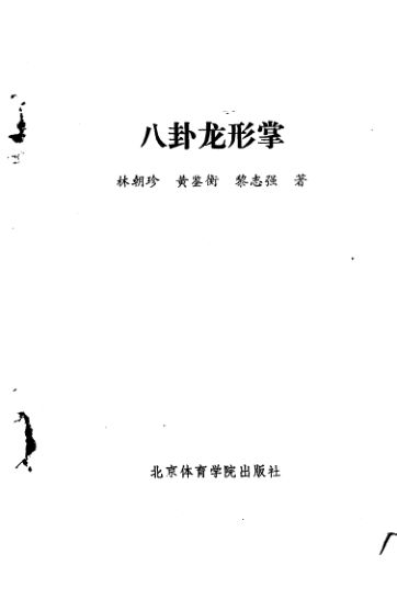 八卦龙形掌_11094384