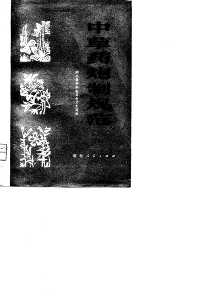 中草药炮制规范10735054