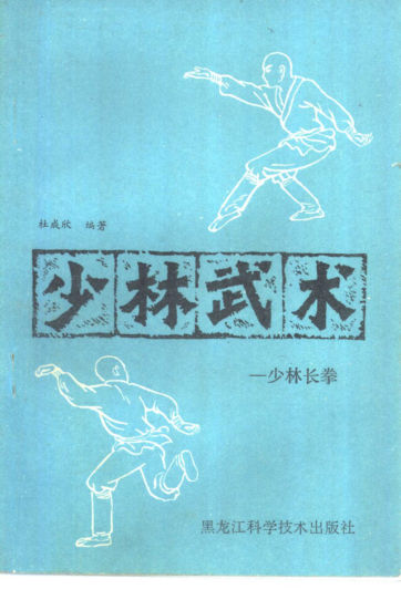 少林武术少林长拳_10391550