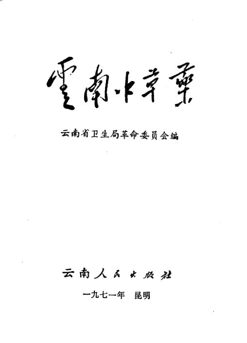 云南中草药_11497229