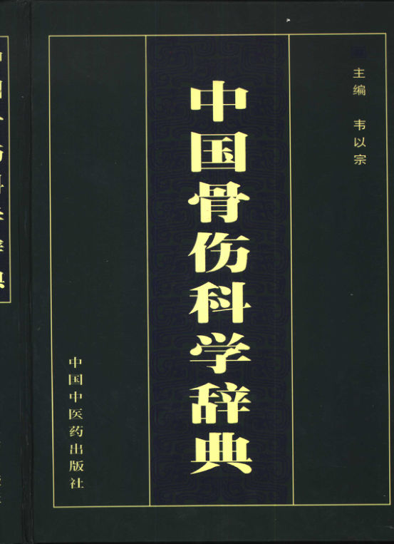 中国骨伤科学辞典_10423358