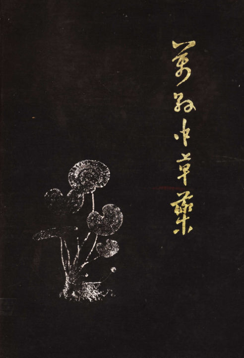 万县中草药_11451267