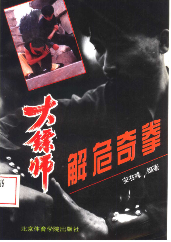 11359273_解危奇拳