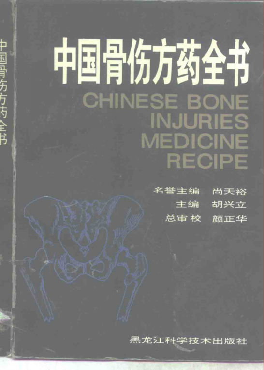中国骨伤方药全书_胡兴立主编_哈尔滨：黑龙江科学技术出版社_1995.08_10264708(1)